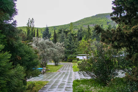 Park sanatorium "Crimea" in the village Partenit. Crimea, Ukraine. May 2009の写真素材