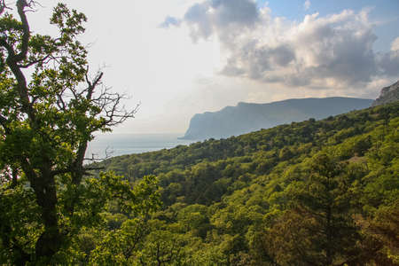The slopes of the mountains near the village of Laspi. Crimea, Ukraine. May 2009のeditorial素材