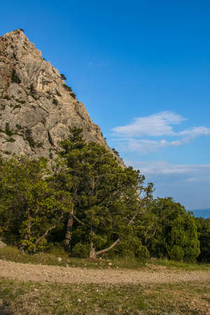 The slopes of the mountains near the village of Laspi. Crimea, Ukraine. May 2009のeditorial素材