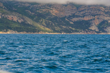 Rocky coast of the Black Sea near the village of Balaclava. Crimea, Ukraine. May 2009のeditorial素材