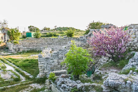 wild flower in National reserve "Chersonese Taurian" (the ancient city of Chersonese (Korsun)) in the city of Sevastopol. Crimea, Ukraine. May 2009の写真素材