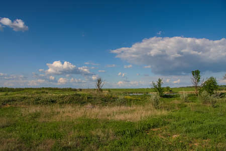 Taurian steppe near the Galyuki pond near the town of Pology in the Zaporozhye region. Ukraine. May 2009の写真素材