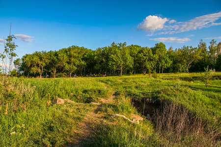 Taurian steppe near the Galyuki pond near the town of Pology in the Zaporozhye region. Ukraine. May 2009の写真素材