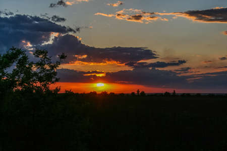 Taurian steppe near the Galyuki pond near the town of Pology in the Zaporozhye region. Ukraine.の写真素材