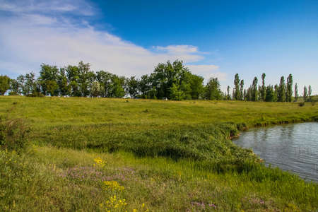 Ukrainian steppe near the town of Polohy. Zaporozhye region, Ukraine.June 2009の写真素材