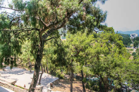 the territory of the hotel Naturland Forest Resort on the Mediterranean coast of the Mediterranean Sea in the province of Antalya region Kemer village Chamyuva .Turkey.July 2009の写真素材