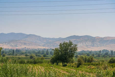 road in the vicinity of the city of Denizli in the southeast of Turkey. July 2009の写真素材