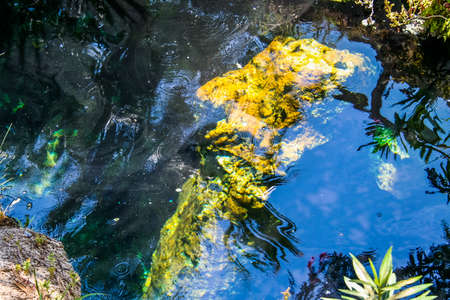 Ancient city Ancient city of Hierapolis near the town of Pamukkale in the province of Denizli in the south-west of Turkey. Turkey. July 2009のeditorial素材