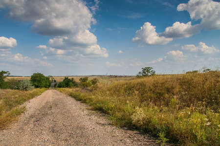 Field protection forest in the Ukrainian steppe. Zaporozhye region, Ukraine.