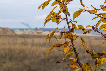 Autumn in the Tavri steppe. Zaporozhye region, Ukraine.