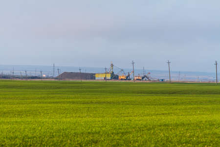 winter wheat growth in the Zaporozhye region. Ukraine. January 2018の写真素材
