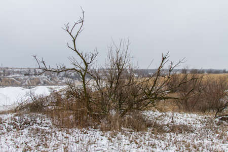 Taurian snow-covered steppe in winter. Zaporozhye region, Ukraine. February 2018の写真素材