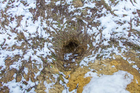Operating fox hole on the slope of the sandy mountain in the Zaporozhye region of Ukraine. February 2018の写真素材