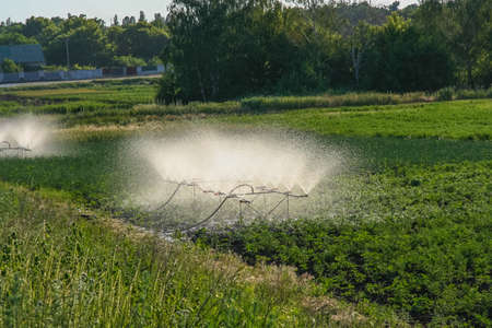 Watering, installation, vegetable garden, village, Zaporozhye region, Ukraine, June, spray, spray, water, reclamationの写真素材