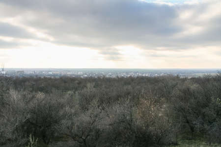 Taurian steppe in autumn. Zaporozhye region, Ukraine. November 2010の写真素材