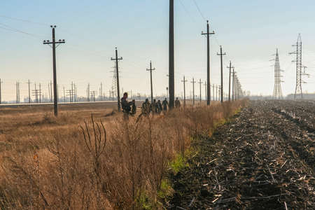 The hunter is preparing to hunt the hare. Zaporozhye region, Ukraine. November 2010のeditorial素材