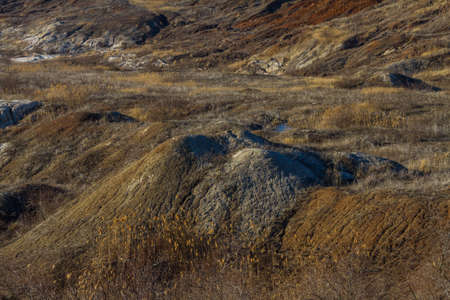 Morning winter snowless landscape in the Tavrian steppe. Zaporozhye region, Ukraine.