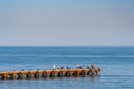 Kurortnoye - urban settlement at the foot of the mountain massif Kara-Dag. Schebetovsky village council of the Feodosia City Council of the Autonomous Republic of Crimea. Ukraine. May 2012の写真素材