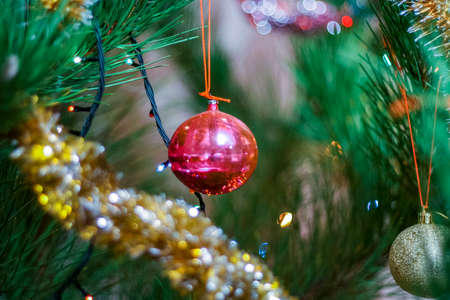 Glass Christmas toy hanging on a Christmas tree. January 2013