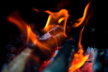 burning firewood on black backgroundの写真素材