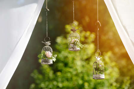 decorative cages with flowers for wedding ceremony on a sunny dayの写真素材