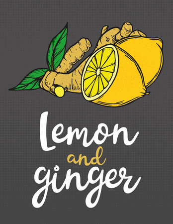 Lemons with ginger. Lemon slices with ginger. Fresh citrus, half sliced lemons. Ginger with lemon. hand drawn vector illustration. Illustration with text.のイラスト素材