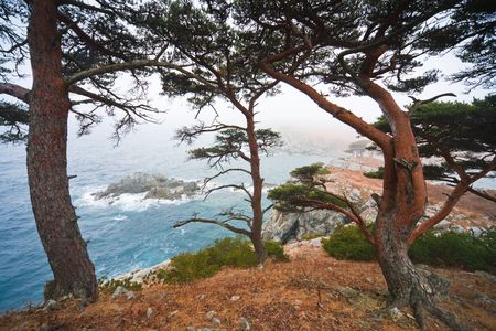 Russian stormの写真素材