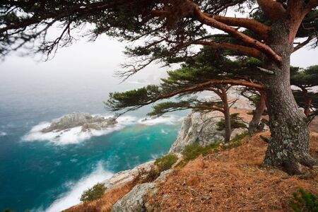 Russian Primorye seabank. near Vladivostok. Andreevka village.の写真素材