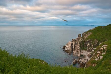 waterscape, emerald forest and marine blue combines the thin strip of beachの写真素材