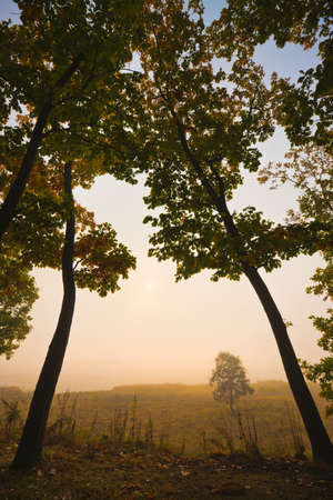 autumn trees and their reflection in the waterの写真素材