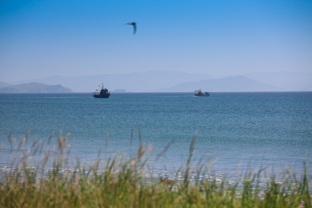 part of the wall with a decorative veneerの写真素材