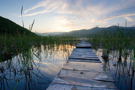 rickety wooden bridge across the lake overgrown with reedsの写真素材