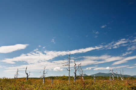 Beautiful autumn landscape, abandoned fieldの写真素材