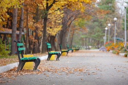 beautiful autumn trees in city parkの写真素材