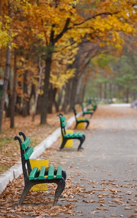 beautiful autumn trees in city parkの写真素材