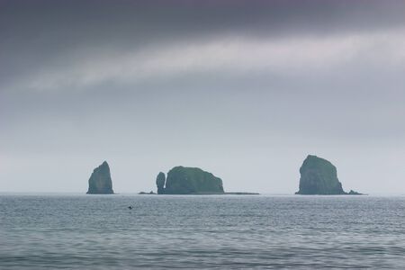 waterscape, emerald forest and marine blue combines the thin strip of beach