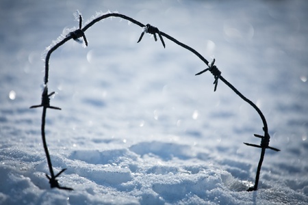 strange details of winter natureの写真素材