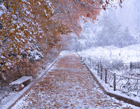 Beautiful winter snow landscapeの写真素材