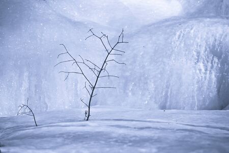 missed first trimester waterfall turned into iciclesの写真素材