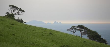 years of natural landscape, the trees on the cliffの写真素材