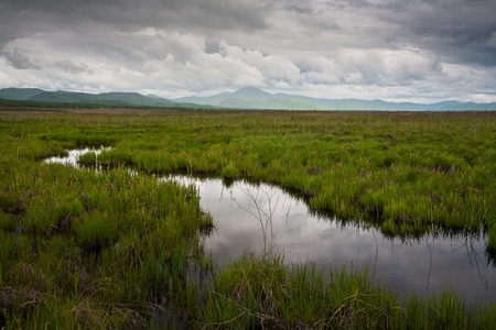 River after a summer rain