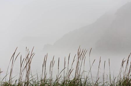 fog lay on the field, covering the mountainsの写真素材