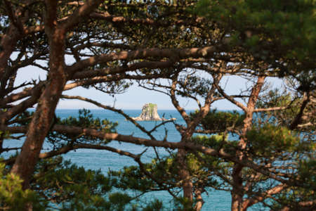 beautiful summer morning seascapeの写真素材