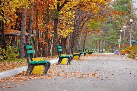 beautiful autumn trees in city parkの写真素材