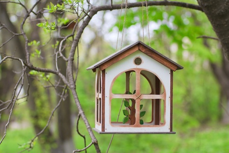 bird feeders in the summer woodsの写真素材