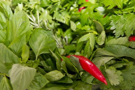 hot red pepper in greenの写真素材