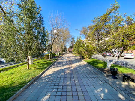 Rostov-on-Don, Russia - 2020: Pushkinskaya street without people. Desert city. Empty benches. Sunny...