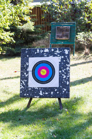 Archery target ring with an arrow in a bullseye during an archery competition. Business concept -...