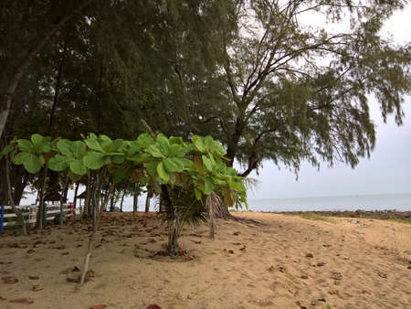 calm beachの写真素材