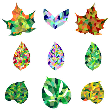 Set of colorful mosaic leaves, maple leaf, monstera leaf, poplar leaf. Vector illustration
